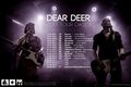 Affiche Deardeer2017tour.jpg