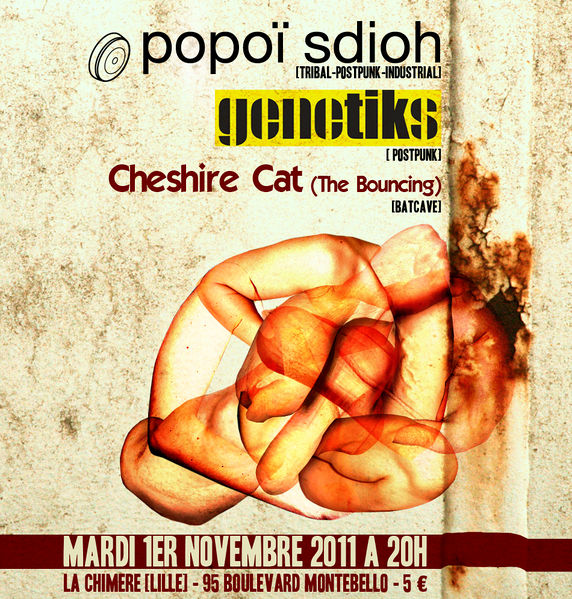 Fichier:Affiche 20111101.jpg