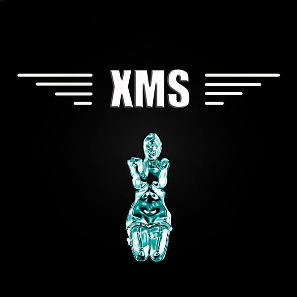 Fichier:Xms.jpg