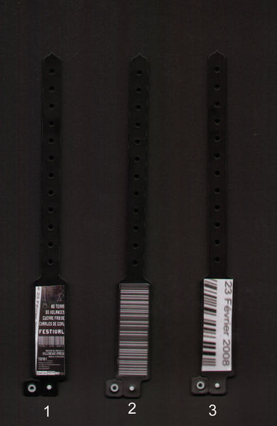 Fichier:20080223 Braceletsfestival.jpg
