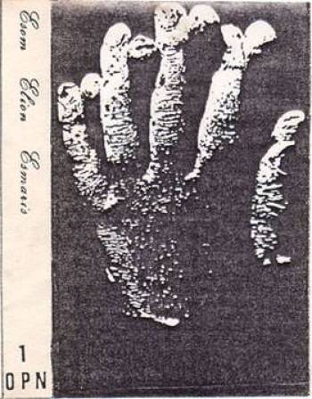 Esom Elion Esmaris