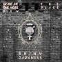 shinydarkness_theplace_01.jpg
